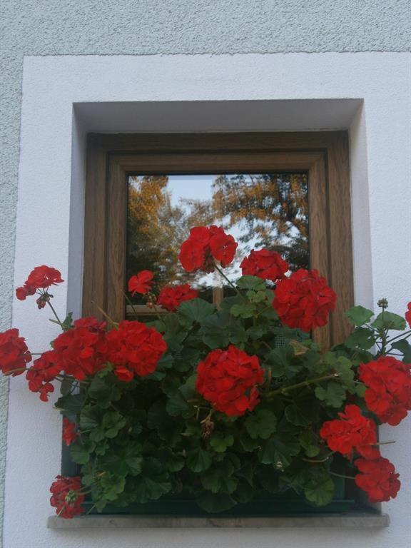 Haus Schober Apartman Windischgarsten Kültér fotó